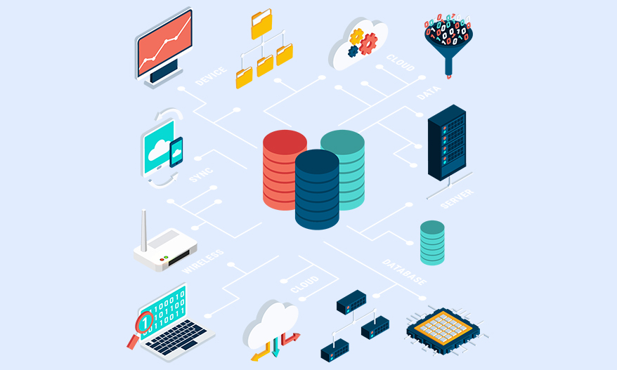 Data Management Services